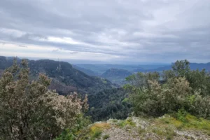 Tag 304 – Gerace und Serpentinen