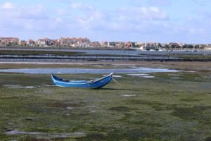 Fahrrad-Weltreisetag 190 – Portugisischer Rückenwind