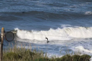 Fahrrad-Weltreisetag 192 – Die Monsterwellen von Nazaré